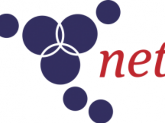 netZ Logo