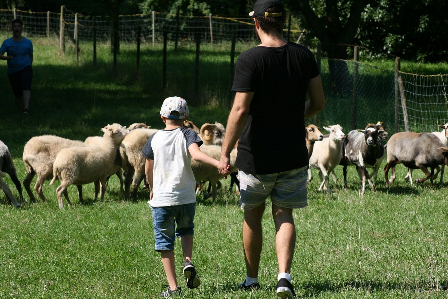 Ferienangebote Lebenshilde Heidelberg