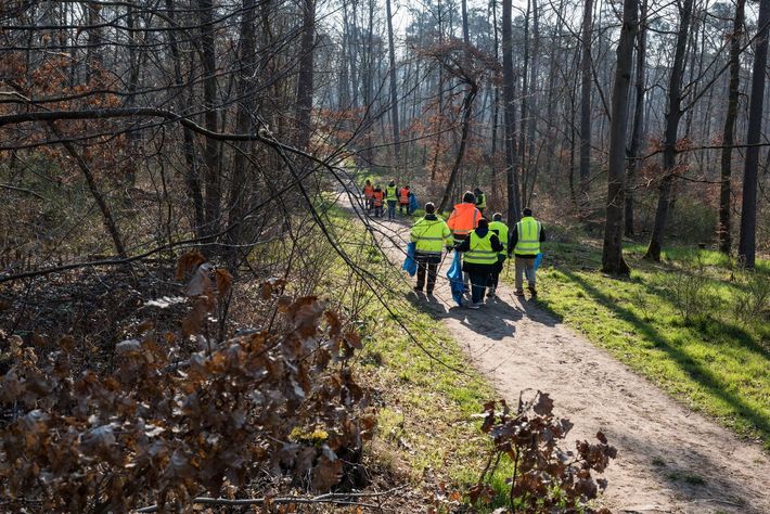 Waldputzaktion