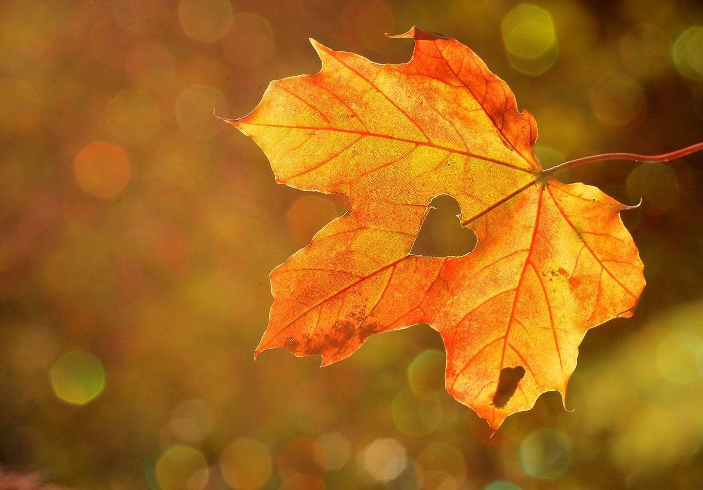 Herbstfest